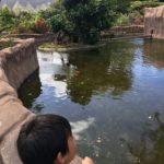 ホノルル動物園