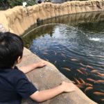 ホノルル動物園