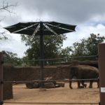 ホノルル動物園