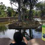 ホノルル動物園