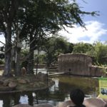 ホノルル動物園（Honolulu Zoo）3