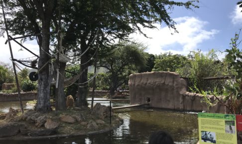 ホノルル動物園（Honolulu Zoo）3