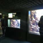 ワイキキ水族館（Waikiki Aquarium）